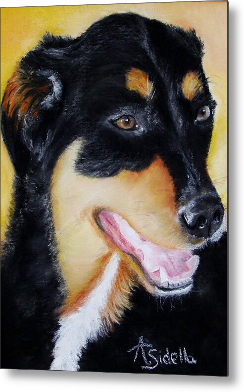 Dogs Metal Print featuring the painting Izzy by Annamarie Sidella-Felts