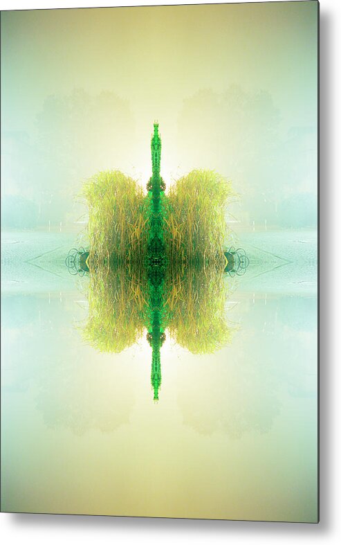 Outdoors Metal Print featuring the photograph Kaleidoscope Yellow Green Plant Hovering by Silvia Otte