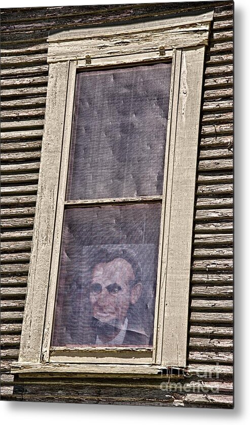 Lincoln Metal Print featuring the photograph Keeping Watch by Ken Williams