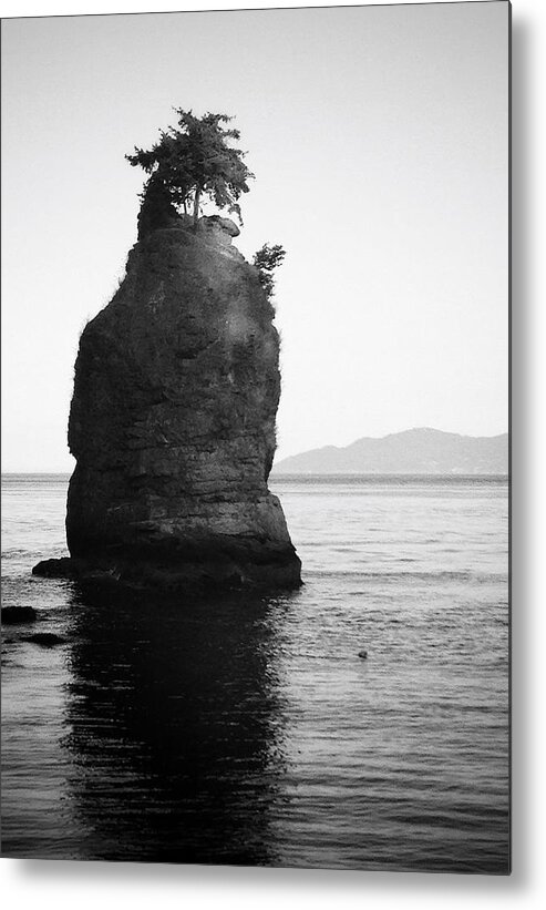 Vancouver Metal Print featuring the photograph Last Walk by J C