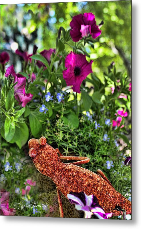 Flowers Metal Print featuring the photograph Leaping Lizards by Sylvia Thornton