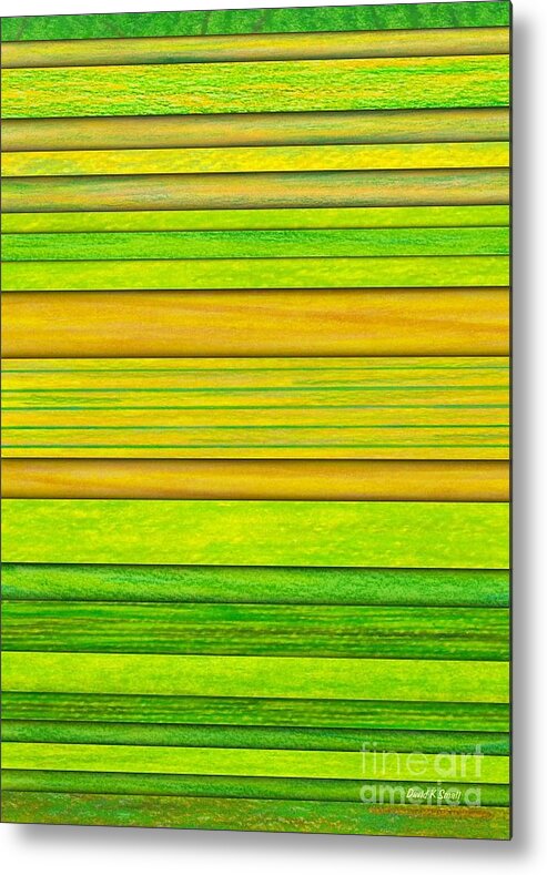 Colored Pencil Metal Print featuring the painting Lemon Limeade by David K Small