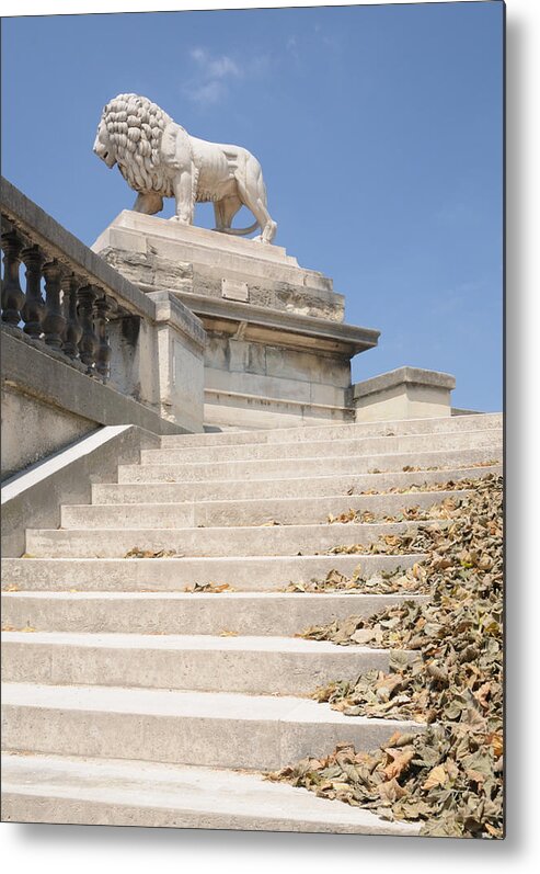 Lion Metal Print featuring the photograph Lion Tuileries Garden Paris by Jeremy Voisey