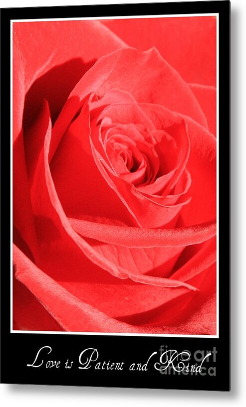 Valentines Metal Print featuring the photograph Love is Patient and Kind by Carol Groenen