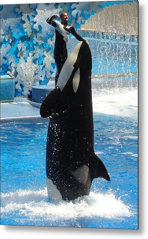 Shamu Metal Print featuring the photograph Lump In The Throat Time by David Nicholls