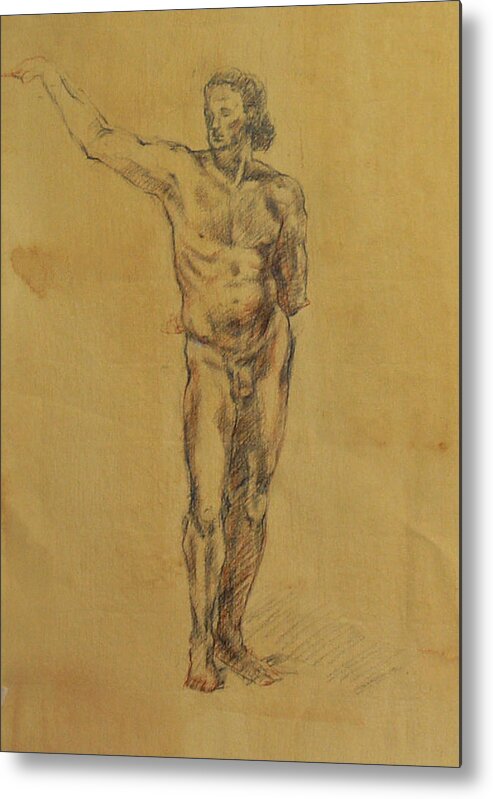 Nude Metal Print featuring the drawing Male Nude 5 by Becky Kim