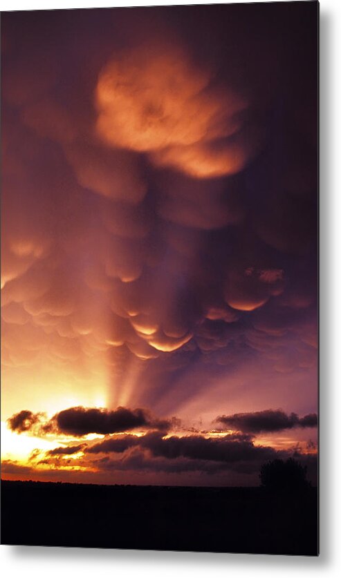 Mammatus Metal Print featuring the photograph Mammatus Sunset over Colorado by Jason Politte