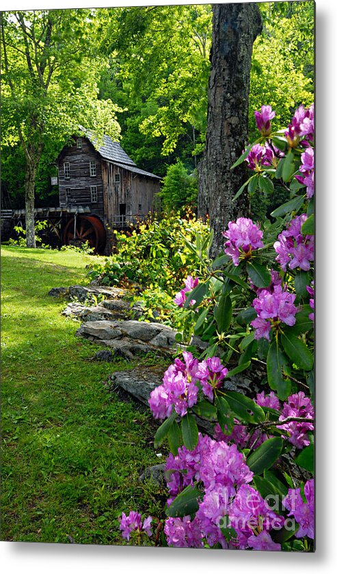 Photography Metal Print featuring the photograph Mill and Rhododendrons by Larry Ricker