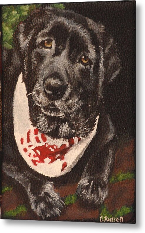 Black Labrador Metal Print featuring the painting Miss Piggy by Carol Russell