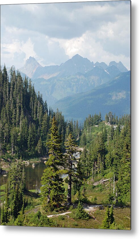 Evergreen Metal Print featuring the photograph Mount Baker Area Washington by Carol Eliassen