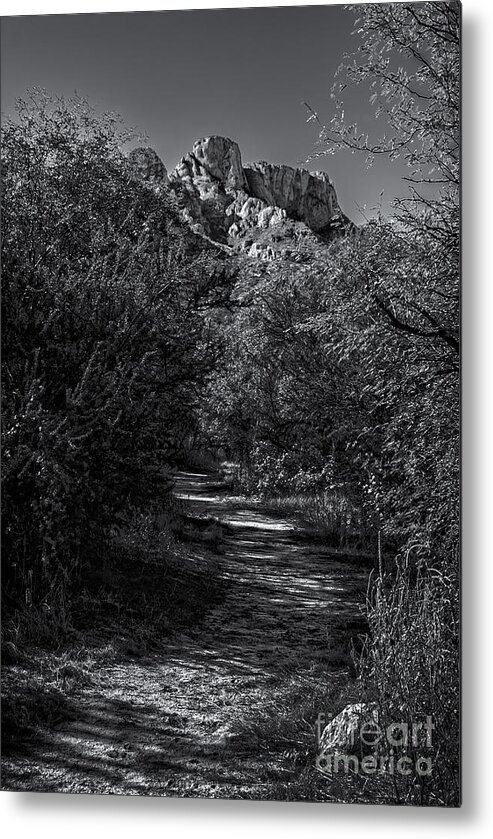 2011 Metal Print featuring the photograph Mountain Path 28 by Mark Myhaver