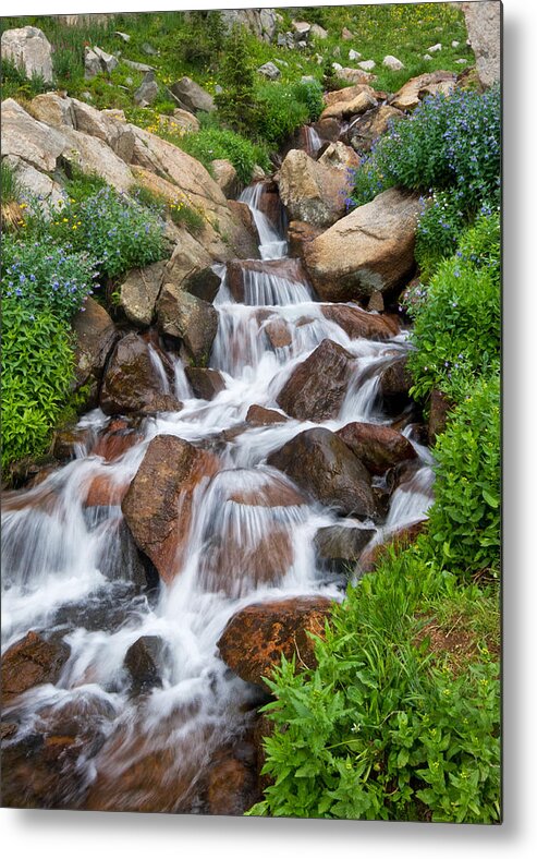 Landscapes Metal Print featuring the photograph Mountain Stream by Ronda Kimbrow