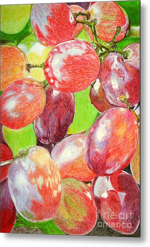 Grapes Metal Print featuring the drawing Multi Coloured Grapes by Yvonne Johnstone