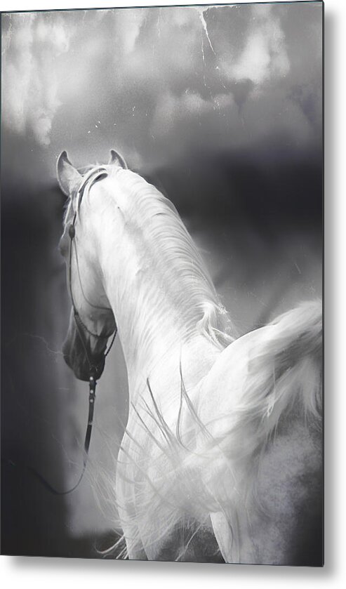 Animal Metal Print featuring the digital art New Year Soft by Janice OConnor