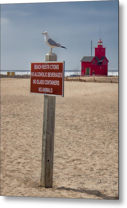 Beach Metal Print featuring the photograph No Animals by John Crothers