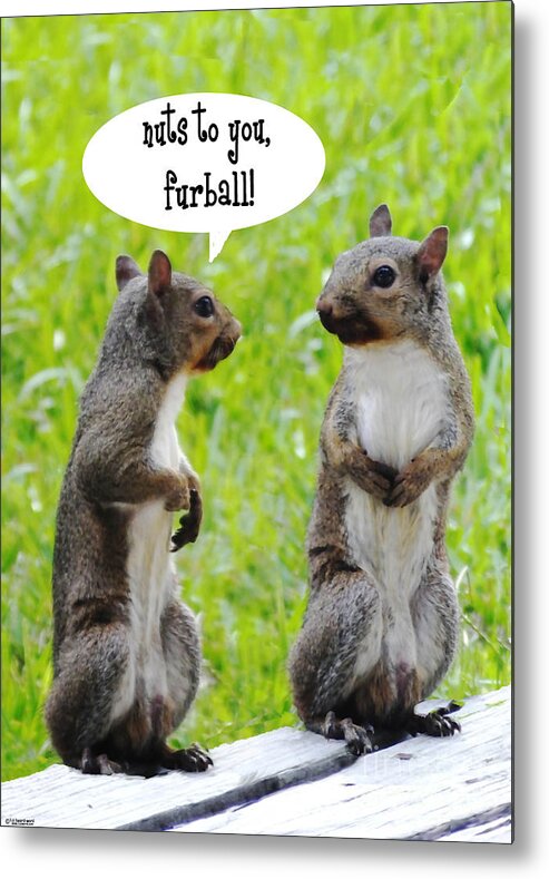Squirrels Metal Print featuring the digital art Nuts to You by Lizi Beard-Ward