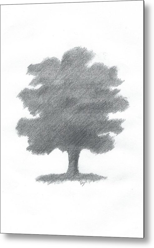 Oak Tree Drawing Metal Print featuring the painting Oak Tree Drawing Number Seven by Alan Daysh