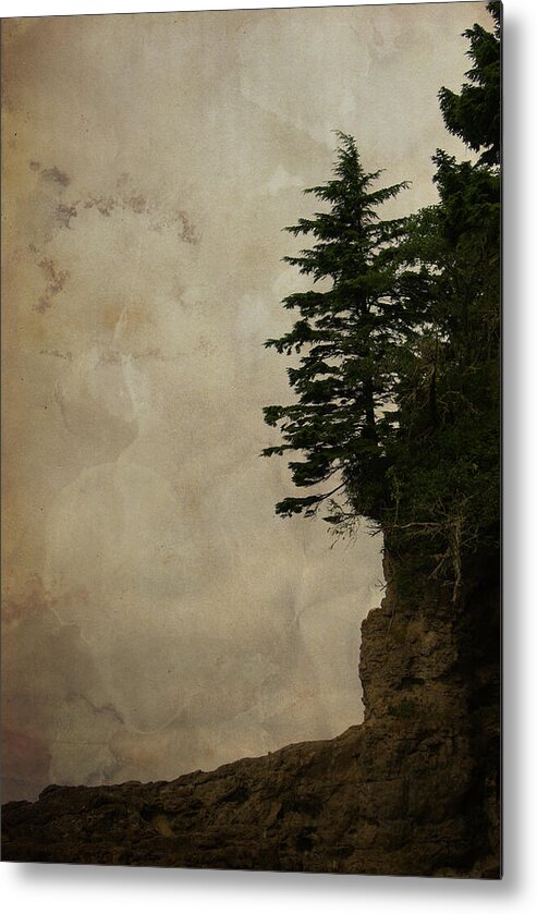 Conifers Metal Print featuring the photograph On the Edge by Marilyn Wilson
