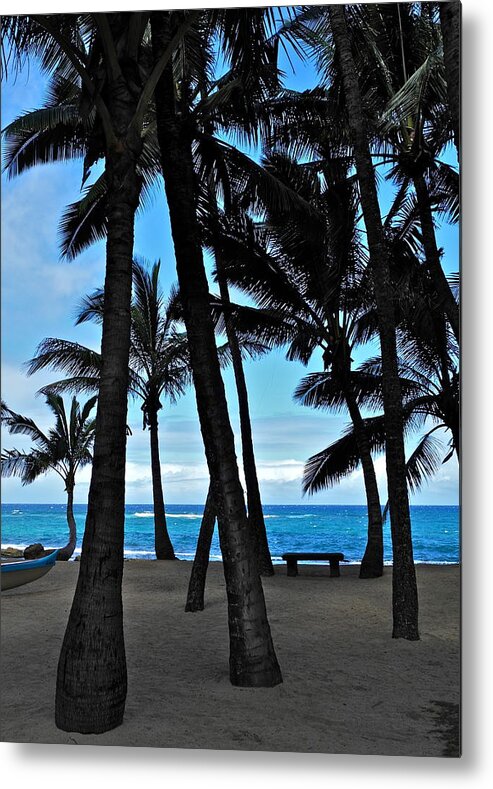 Palm Tree Silhouettes Metal Print featuring the photograph Palm Tree Silhouettes by Kirsten Giving