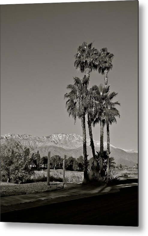 Palm Trees Metal Print featuring the photograph Palm Trees in the Desert by Kirsten Giving
