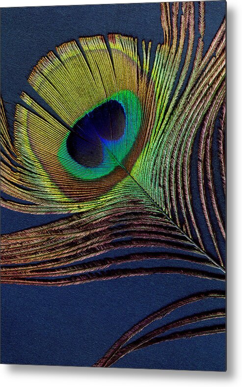 Peacock Feather Metal Print featuring the digital art Peacock Feather by Ann Powell