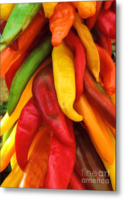 Peck Of Peppers Metal Print featuring the photograph Peck of Peppers by Robert ONeil