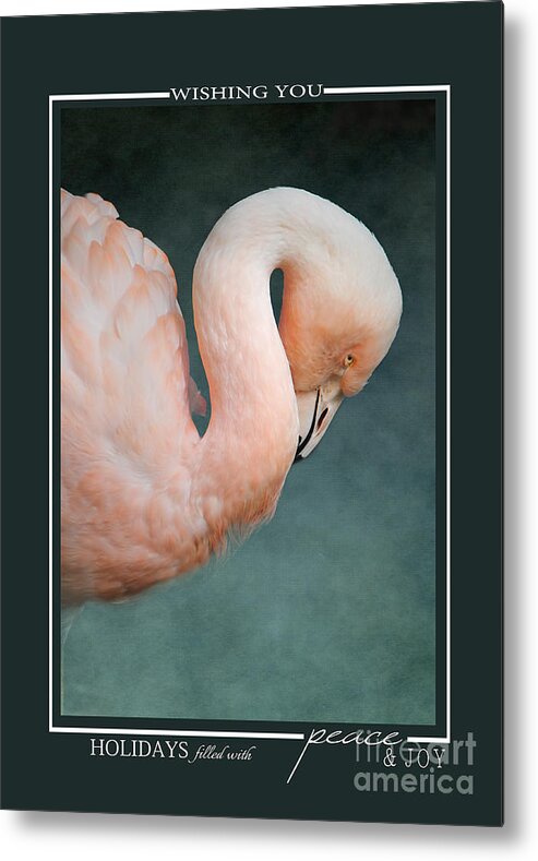Bird Christmas Cards Metal Print featuring the photograph Pink Flamingo 2 Tropical Bird Christmas Cards by Jai Johnson