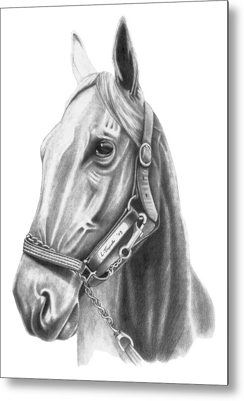 Horse Metal Print featuring the drawing Profile by Lawrence Tripoli