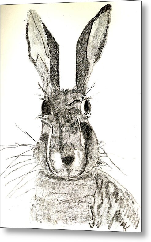 Rabbit Metal Print featuring the drawing Rabbit by Sandy McIntire