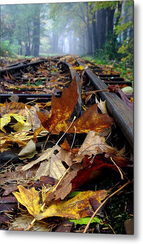 Railroad Metal Print featuring the photograph Rails and Leaves by Ken Dietz