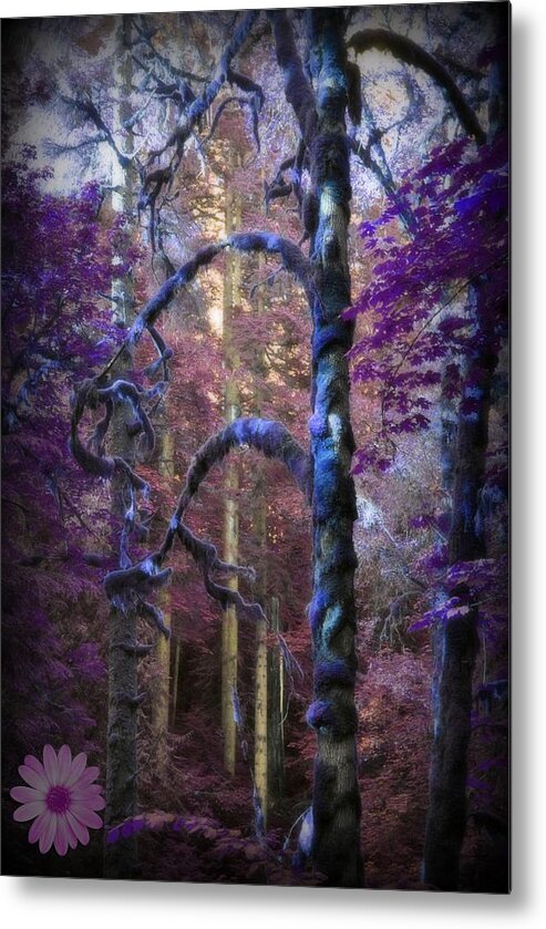 Fantasy Metal Print featuring the photograph Sacred Forest by Amanda Eberly