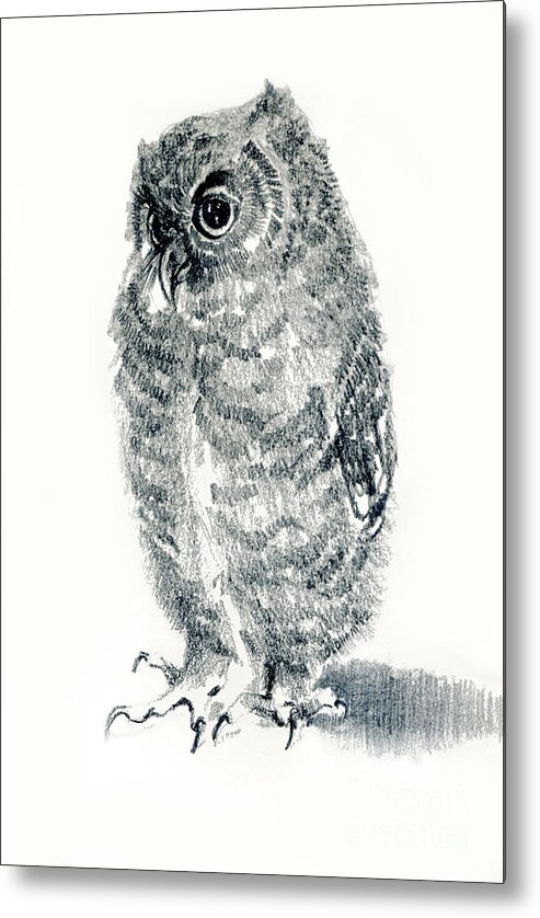 Owl Metal Print featuring the jewelry Screech owl nestling by Pat Oldham