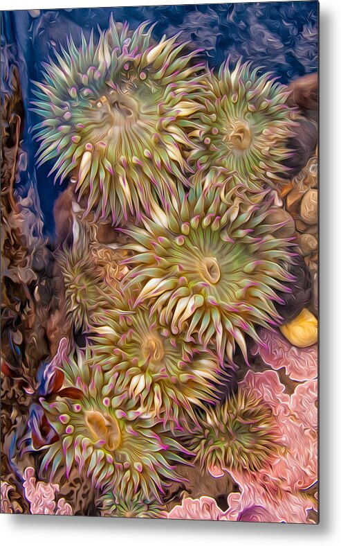 Sea Anemones Metal Print featuring the photograph Sea anemones by Kathleen Bishop
