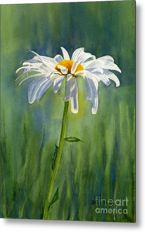 Daisies Metal Print featuring the painting Shasta Daisy Flower with Blue Green Background by Sharon Freeman