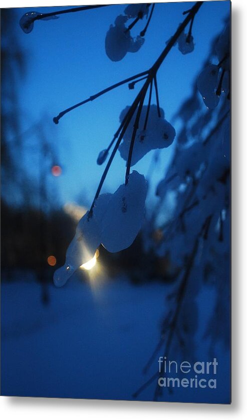 Snow Metal Print featuring the photograph Shining flakes by Susan Hernandez
