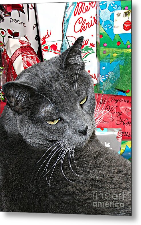 Merry Metal Print featuring the photograph Sleepy Christmas Cat by Gabriele Pomykaj