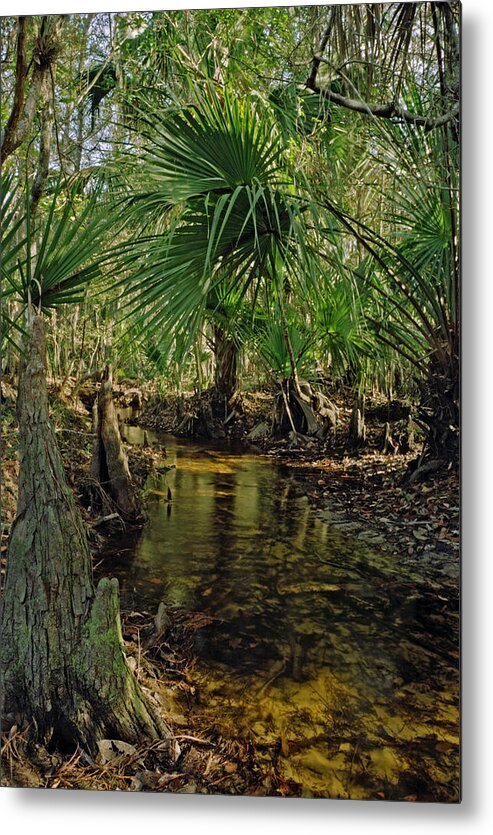 Chris Kusik Metal Print featuring the photograph Snell Creek. Osceola County Florida by Chris Kusik