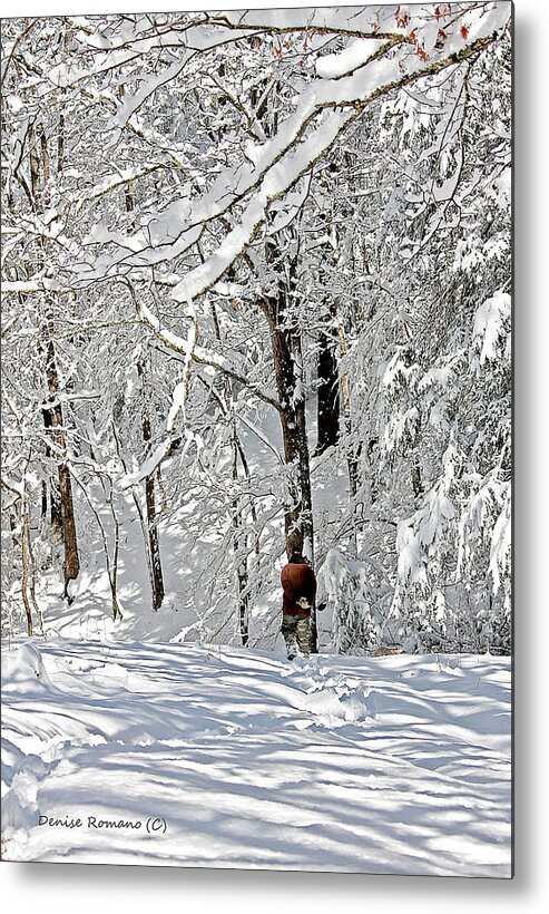 Landscape Metal Print featuring the photograph Snow Walking by Denise Romano