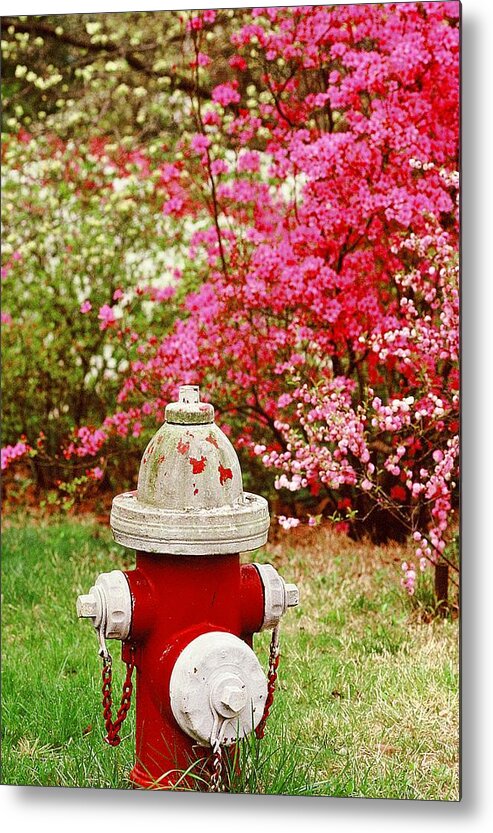 Fine Art Metal Print featuring the photograph Spring Hydrant by Rodney Lee Williams