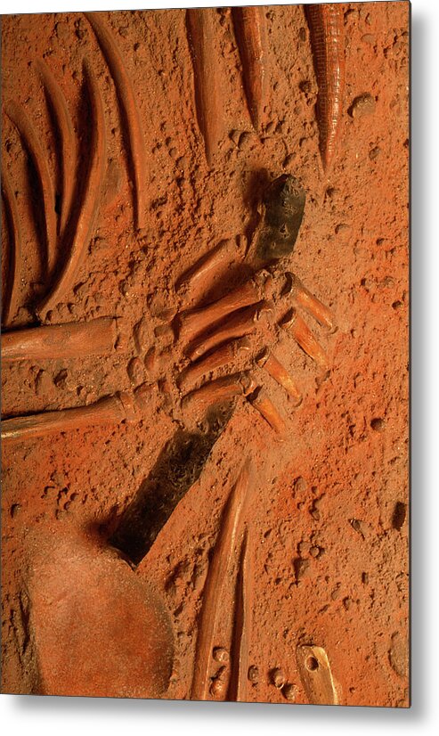 Lithic Artefacts Metal Print featuring the photograph Stone Age Skeleton Hand by Pascal Goetgheluck/science Photo Library