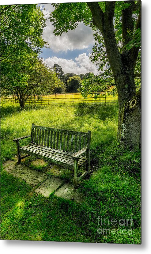 Welsh Garden Metal Print featuring the photograph Summer Shade by Adrian Evans