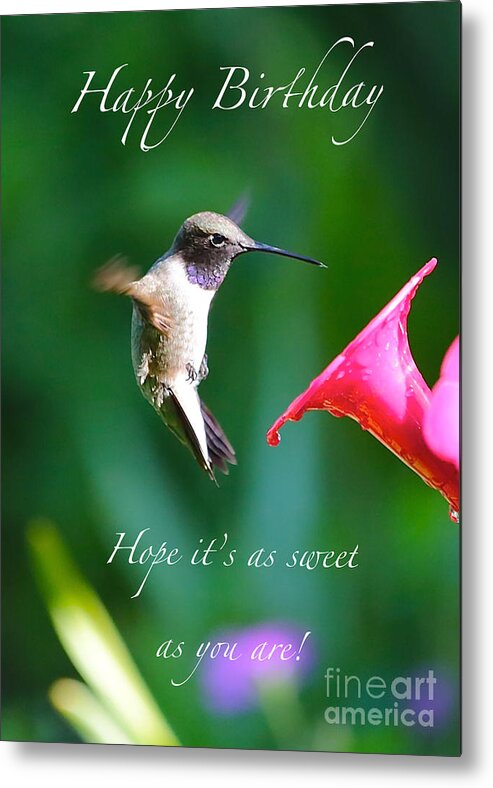 Hummingbird Metal Print featuring the photograph Sweet Hummingbird Birthday Card by Carol Groenen