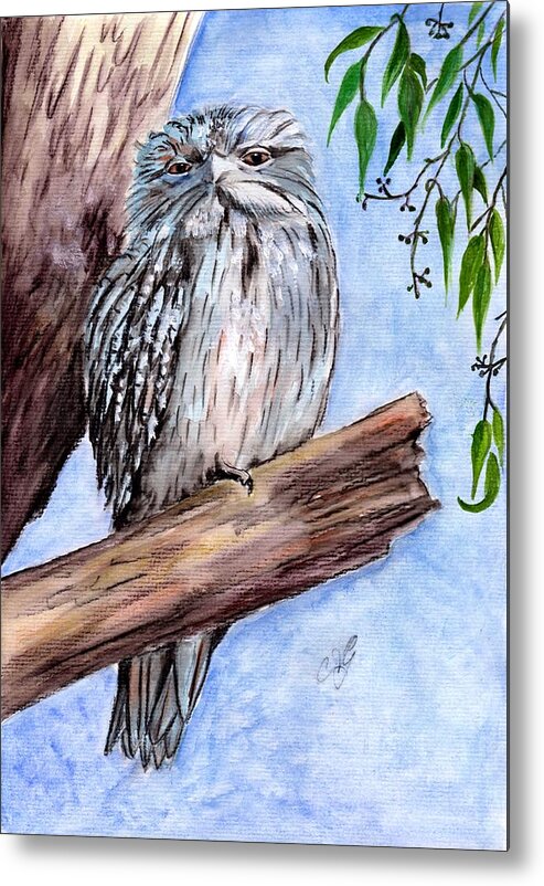 Australia Metal Print featuring the painting Tawny frogmouth by Anne Gardner