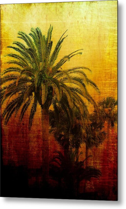 Palm Trees Metal Print featuring the digital art Tequila Sunrise by Jan Amiss Photography