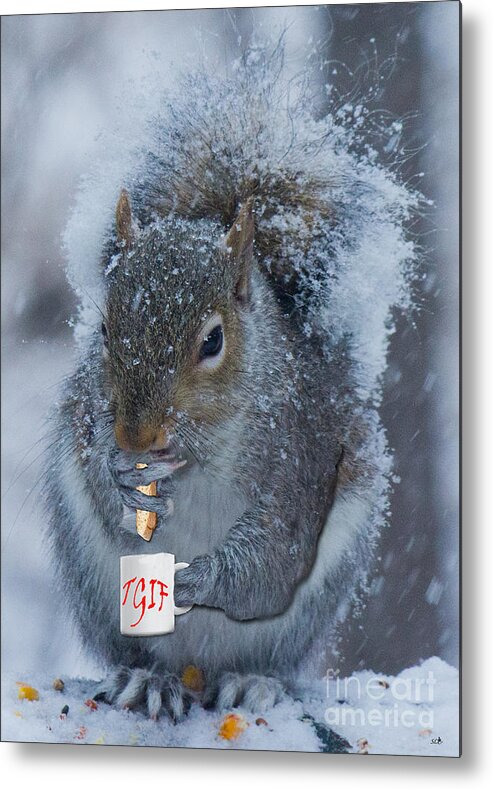 Winter Card Metal Print featuring the photograph TGIF with a cup of Coffee by Sandra Clark