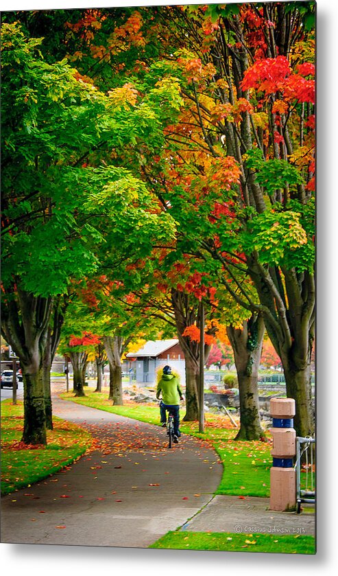 Fall Metal Print featuring the photograph The Fall Bike Ride by Cassius Johnson