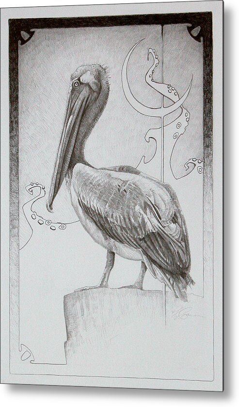 Pelican Metal Print featuring the drawing The Octopus Sea by T S Carson