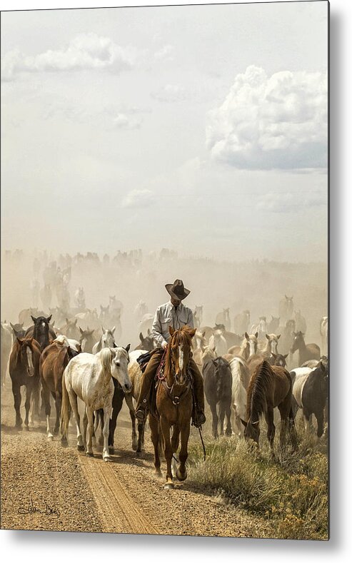 Flatlandsfoto Metal Print featuring the photograph The Road Home 2013 by Joan Davis
