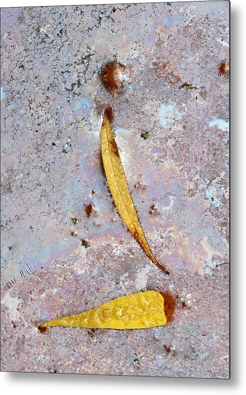 Leaf Metal Print featuring the photograph The World As We Don't Know It by Juergen Roth