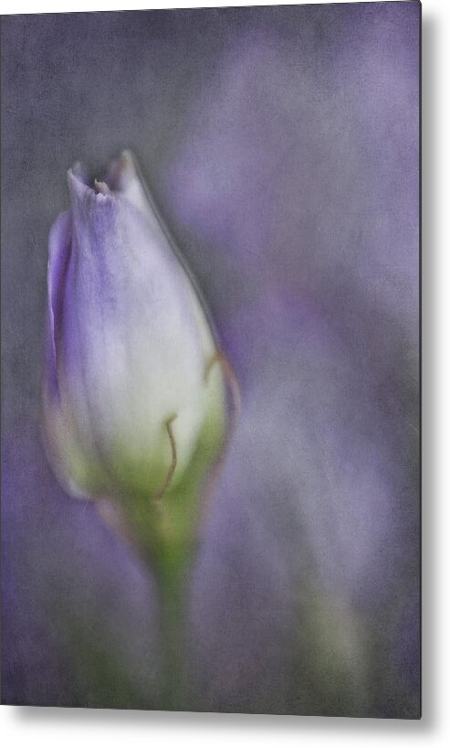 Bloom Metal Print featuring the photograph This Buds for You by David and Carol Kelly